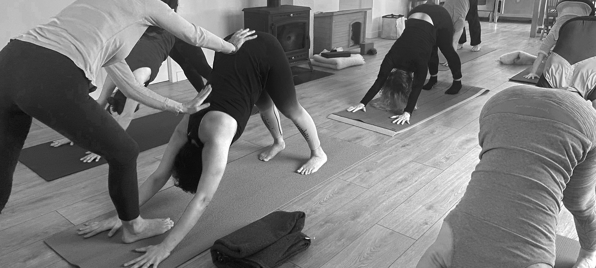 pratiquant et ajustement cours ashtanga yoga céret maureillas reynes perpignan